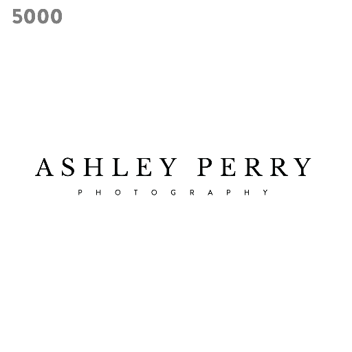 elegant logo template 5000