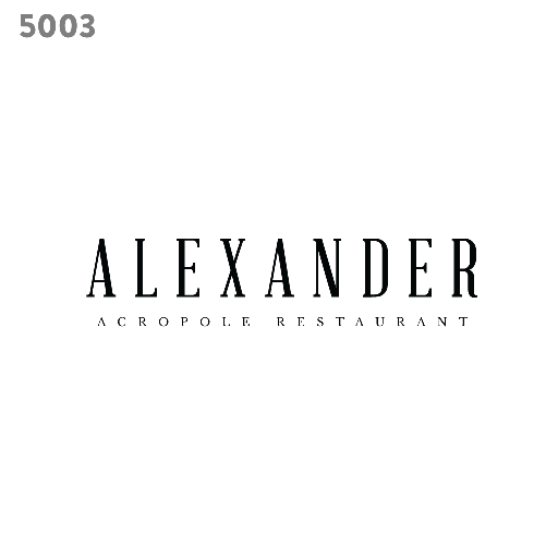 elegant logo template 5003