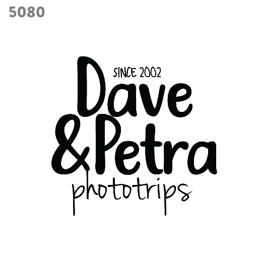 elegant logo template 5080