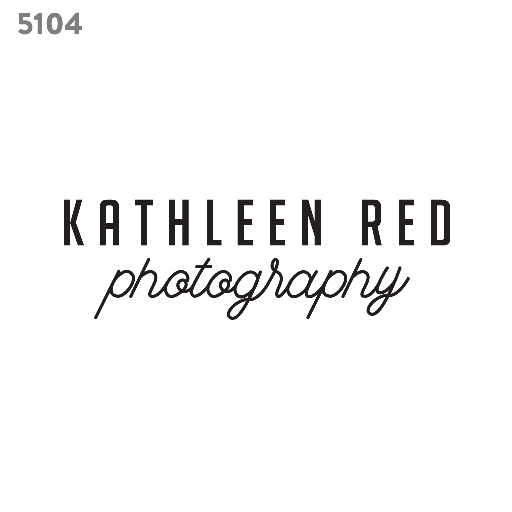 elegant logo template 5104