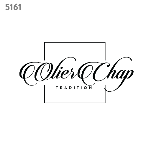 elegant logo template 5161